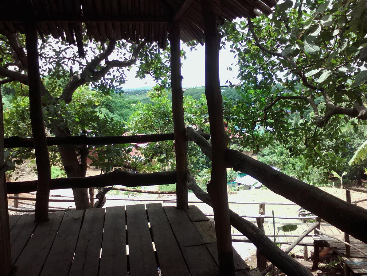 Tree Lodge Banlung 외부 사진