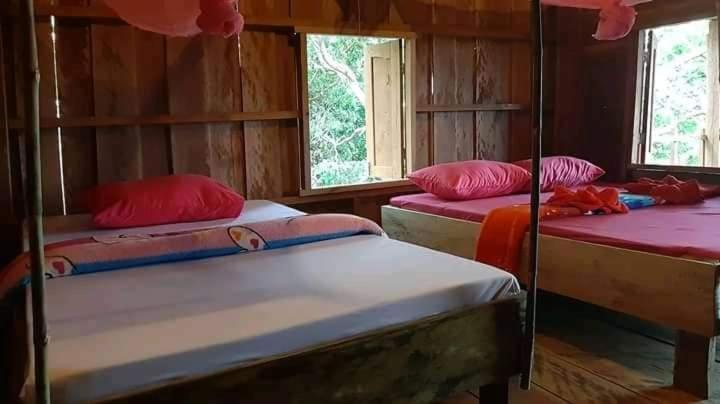 Tree Lodge Banlung 외부 사진